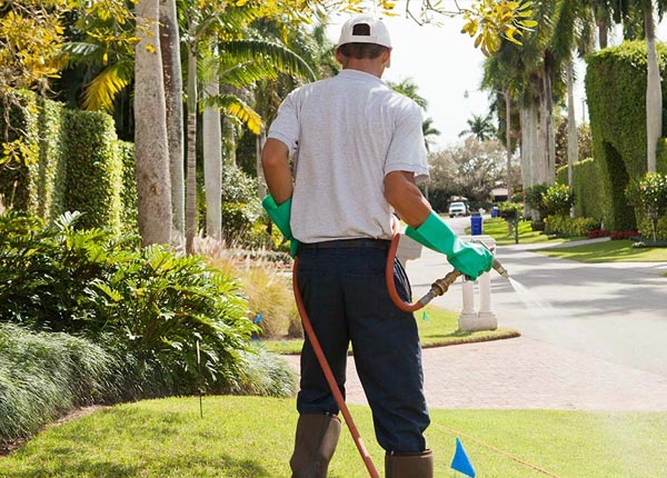 About Balaton MN Pest Control